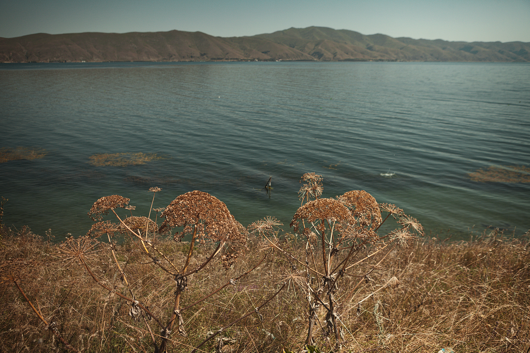 sevan